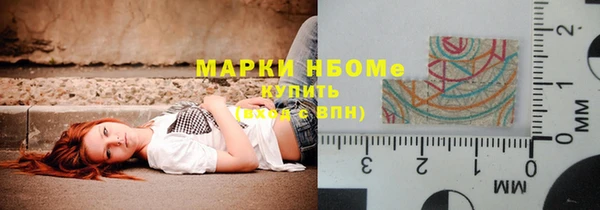 индика Алзамай