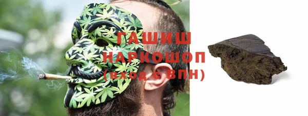 индика Алзамай
