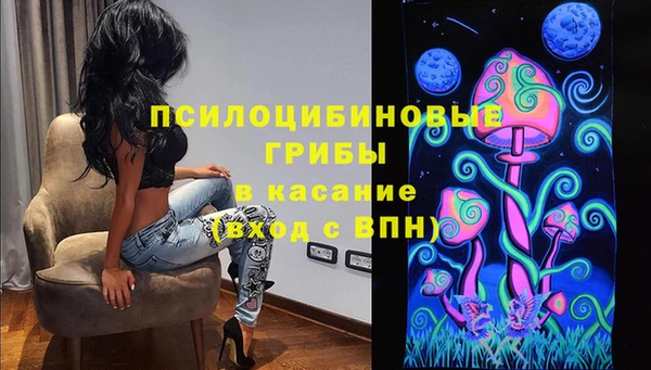 индика Алзамай