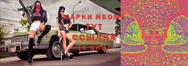 индика Алзамай