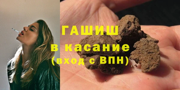индика Алзамай