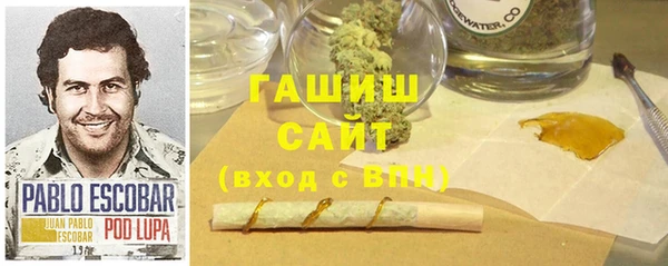 индика Алзамай