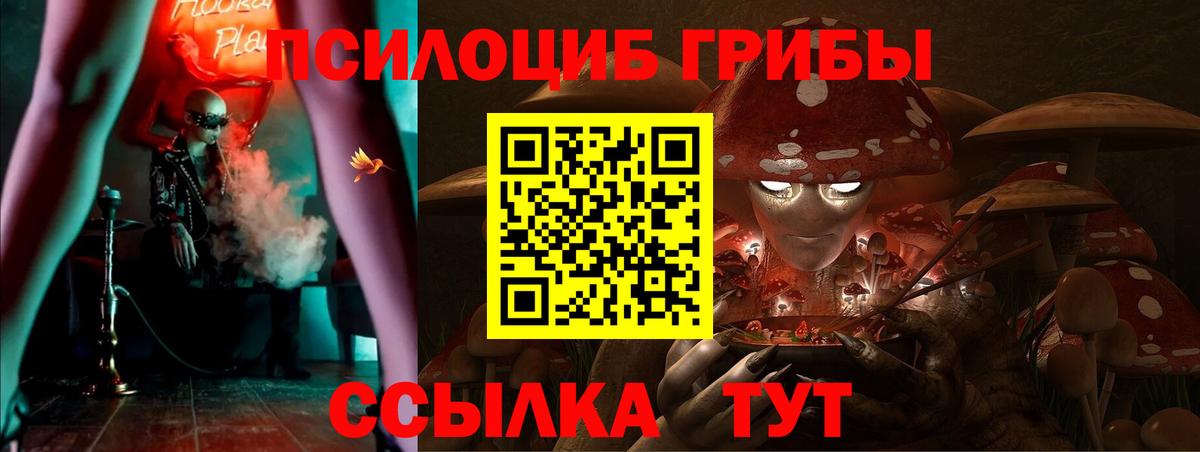 Псилоцибиновые грибы мицелий Зеленокумск